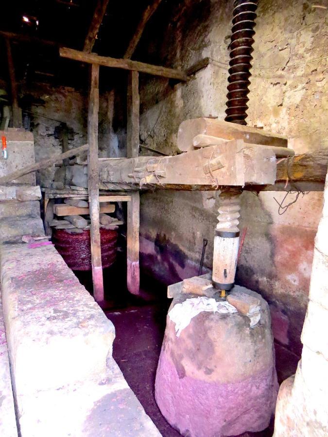 Вилла Casa La Vigna Puntalazzo Экстерьер фото